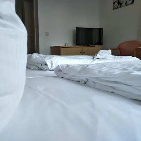 Zum Grunen Tor Guest house 3*