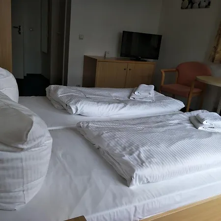 ゲストハウス Zum Gruenen Tor