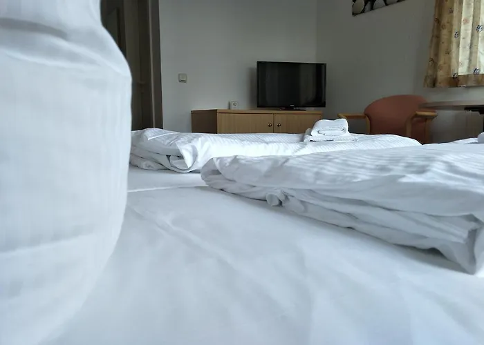 Zum Gruenen Tor ゲストハウス 3*