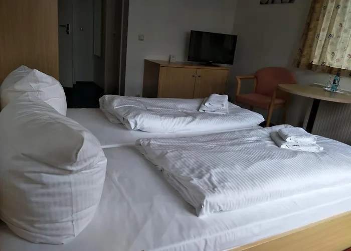 ゲストハウス Zum Gruenen Tor